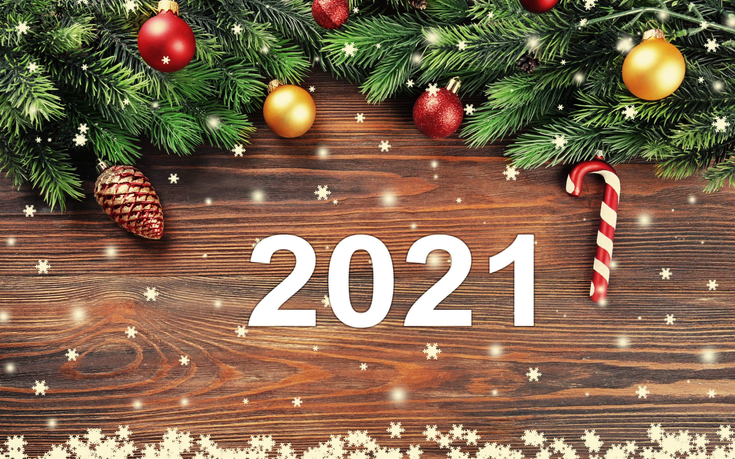 Поздравляем С Новым 2021 годом!. Гостиница «СНЕЖИНКА» пос. Домбай - официальный сайт